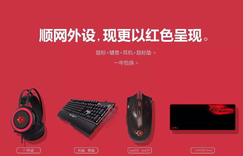 顺网硬件 引领上网服务行业新纪元，打造网吧连锁经营一体化解决方案